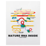 Mature RNA Inside Personalized Letterhead