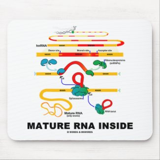 Mature RNA Inside Mouse Pad