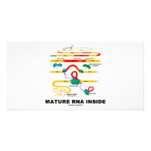 Mature RNA Inside Personalized Photo Card