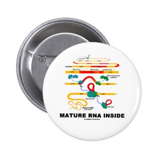 Mature RNA Inside Pinback Button