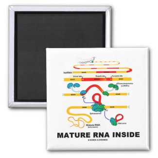 Mature RNA Inside Refrigerator Magnets