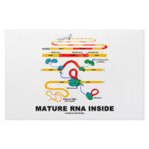 Mature RNA Inside stationery by wordsunwords Mature RNA Inside stationery