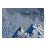 Matusevich Glacier Thank You Note Card