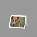 Maudie the Cow Dog Note Card by WheatgrassDesigns Maudie the Cow Dog Note Card
