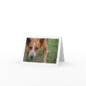 Maudie the Cow Dog Note Card by WheatgrassDesigns Maudie the Cow Dog Note Card