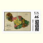 Maui, 1885, Vintage Hawaii Map postage