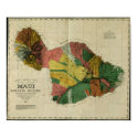 Maui, 1885, Vintage Hawaii Map posters