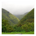 Maui Forest posters