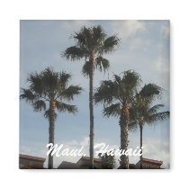 Maui Hawaii magnets