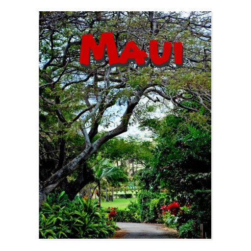 Maui Hawaii Postcard Zazzle