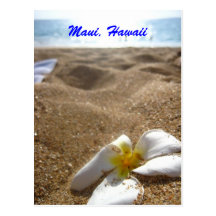 Maui, Hawaii Postcard