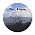 Maui Magnet
