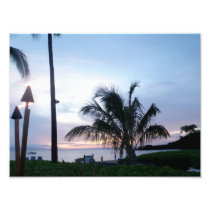 Maui Palm Beach Beauty Photo Art