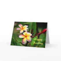 Maui Plumeria Flowers, Birthday Greeting Cards
