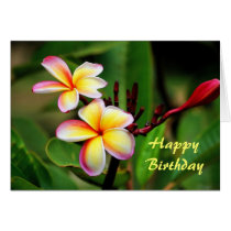 Maui Plumeria Flowers, Birthday Greeting Cards