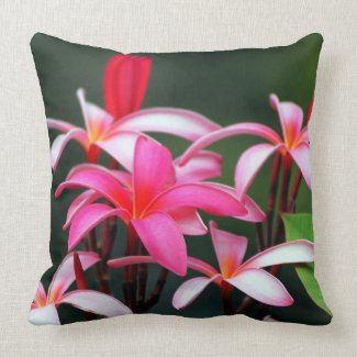 Maui Plumeria Throw Pillow