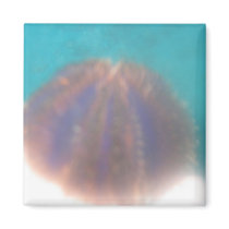 Maui sea life magnet by joacreations Maui sea life magnet