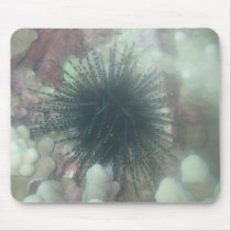 maui sea life mousepad by joacreations maui sea life mousepad
