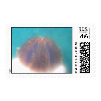 Maui sea life postage by joacreations Maui sea life postage