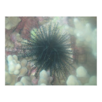 Maui sea life print by joacreations Maui sea life print