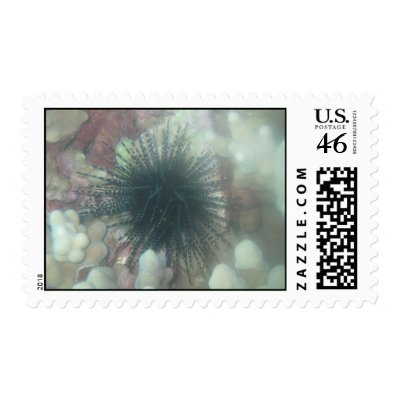 maui sea life stamp by joacreations