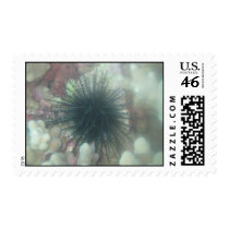 maui sea life stamp by joacreations maui sea life stamp