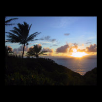 Maui Sunrise 1 posters