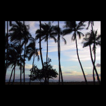 Maui Sunset 1 posters