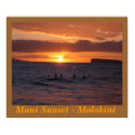 Maui Sunset at Little Beach posters