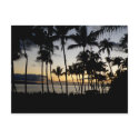 Maui Sunset postcards