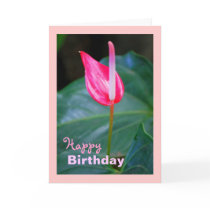 Maui Tropical Red Anthurium, Birthday Greeting Card