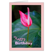 Maui Tropical Red Anthurium, Birthday Greeting Card