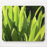 Maui Tropical Vegetation Mouse Pads