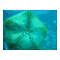 Maui under the sea framed print by joacreations Maui under the sea framed print
