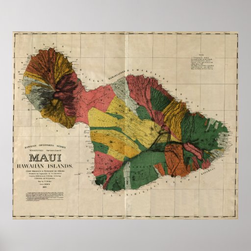 Vintage Hawaii Prints 18