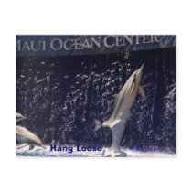 Mauii Ocean Hang Loose postcards by unicornsplace Mauii Ocean Hang Loose postcards