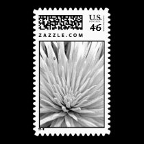 Mauna Kea Silversword and Ladybug stamps