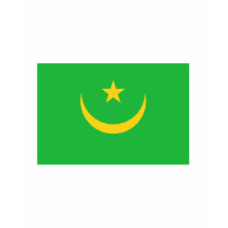 Mauritania FLAG International t-shirts by flagshirt Mauritania FLAG International t-shirts