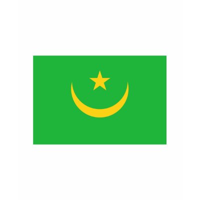 Mauritania FLAG International Tee Shirt by flagshirt