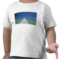 Mauritius, Western Mauritius, Le Morne 2 T Shirt