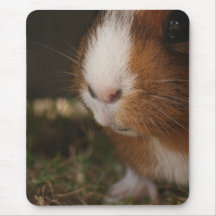 Mauspad, Meerschweinchen, Haustier, Kinder