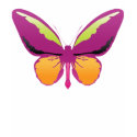 Mauve butterfly t-shirts