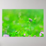 Mauve flower poster