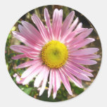 Mauve flower round sticker