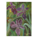 Mauve LA  Iris posters