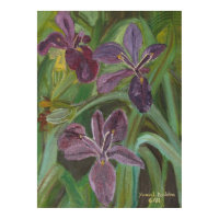 Mauve LA Iris print