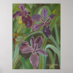 Mauve LA  Iris posters