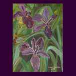 Mauve LA  Iris posters