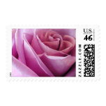 Mauve Rose Custom Postage Stamps
