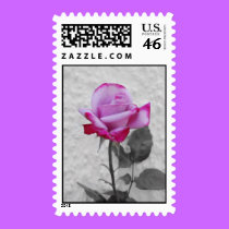 Mauve Rose Stamp